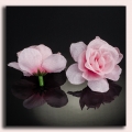 Róża główka 12 szt 4 cm Pink